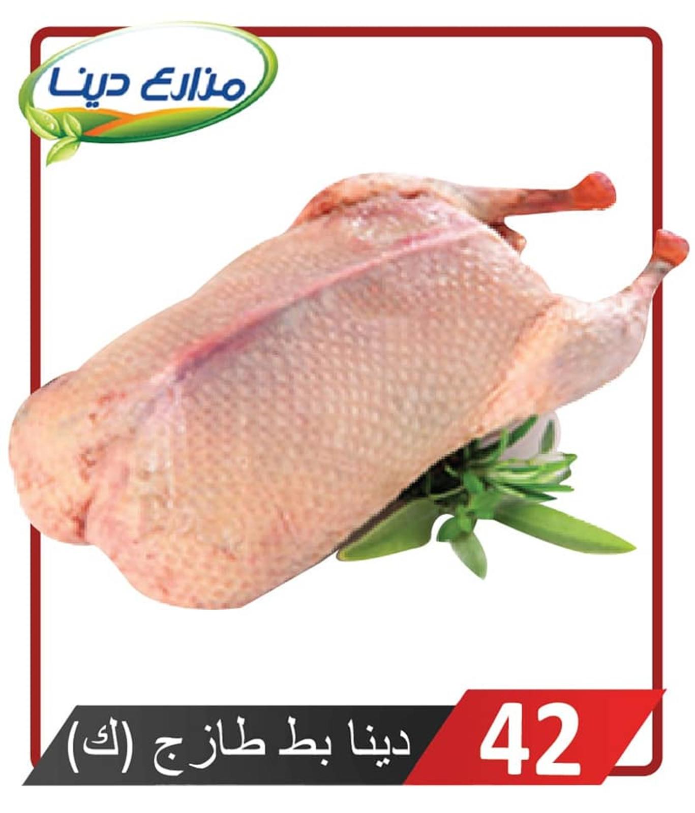أسعار منتجات مزارع دينا الصحراوى من 18-7-2019