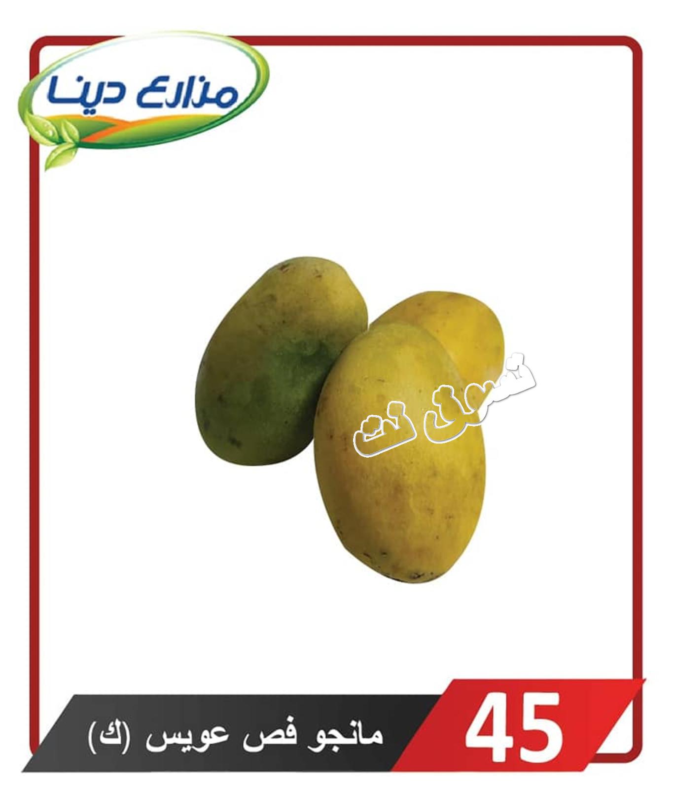 أسعار منتجات مزارع دينا الصحراوى من 18-7-2019