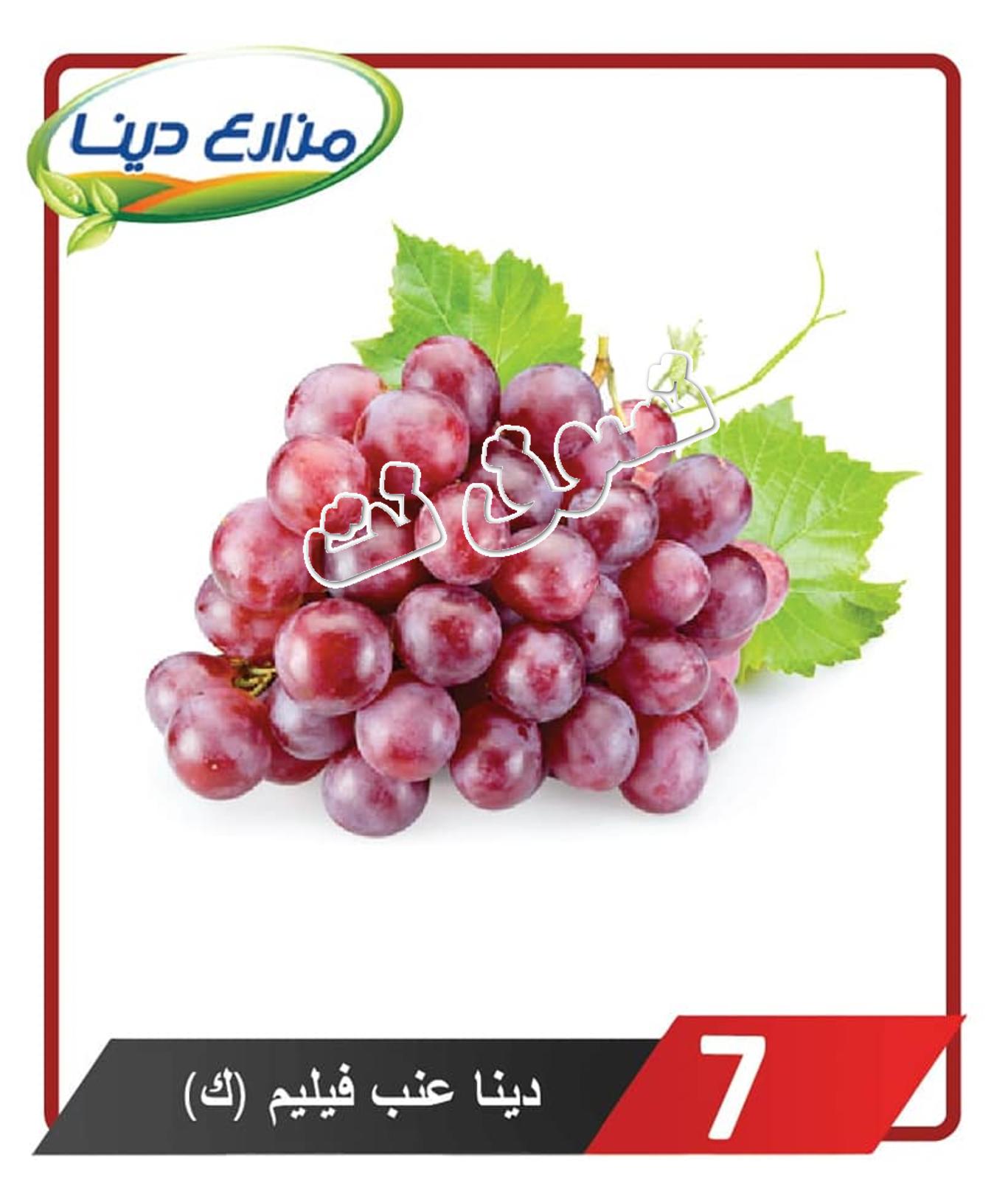 أسعار منتجات مزارع دينا الصحراوى من 18-7-2019