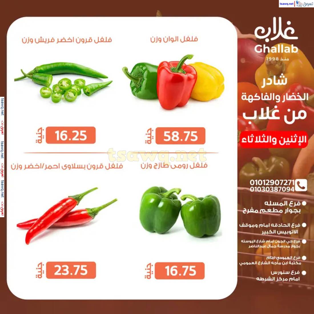 عروض أسواق غلاب الفيوم من 28 حتى 29 إبريل 2025 عروض الفريش