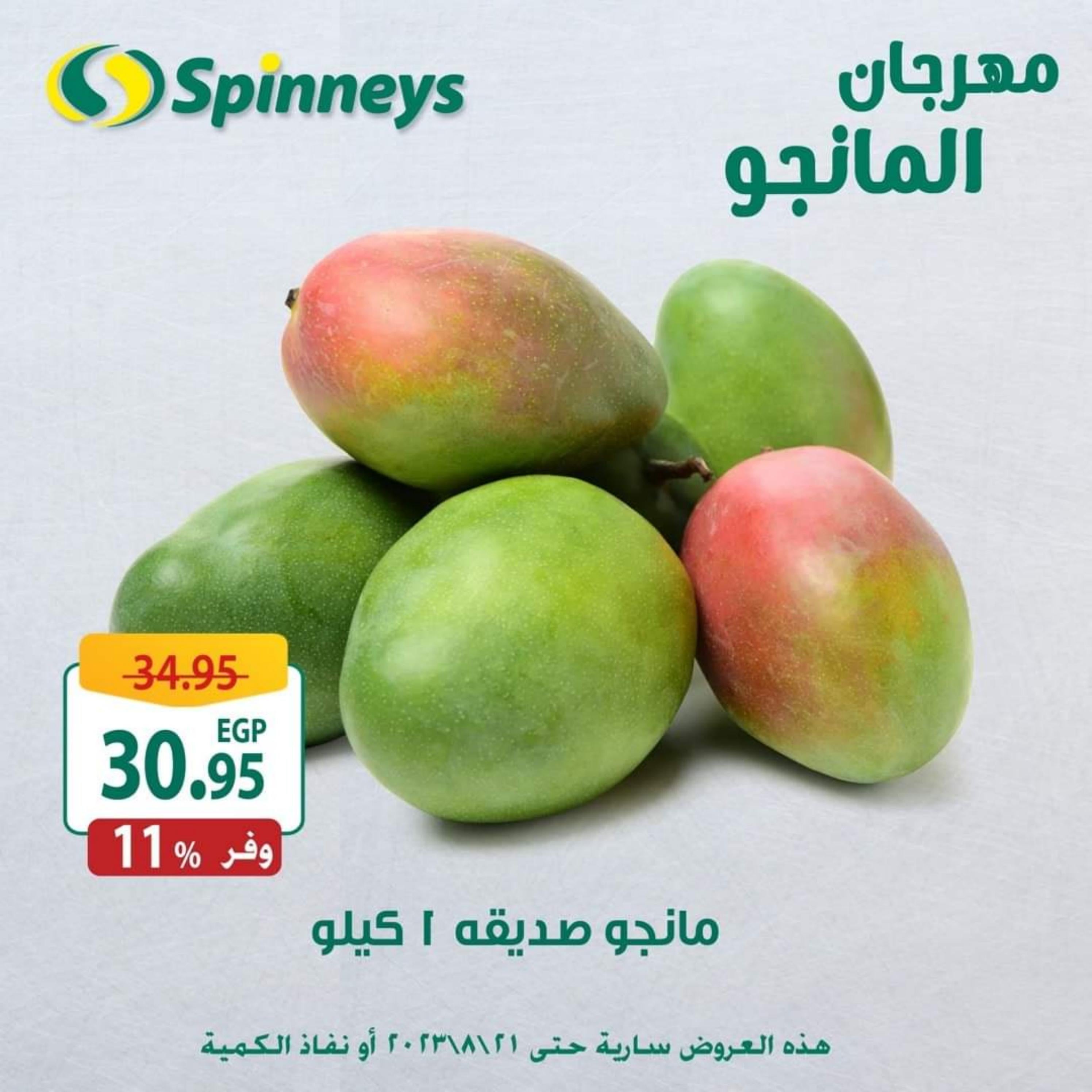 عروض سبينيس من 16 حتى 21 أغسطس 2023 مهرجان المانجو