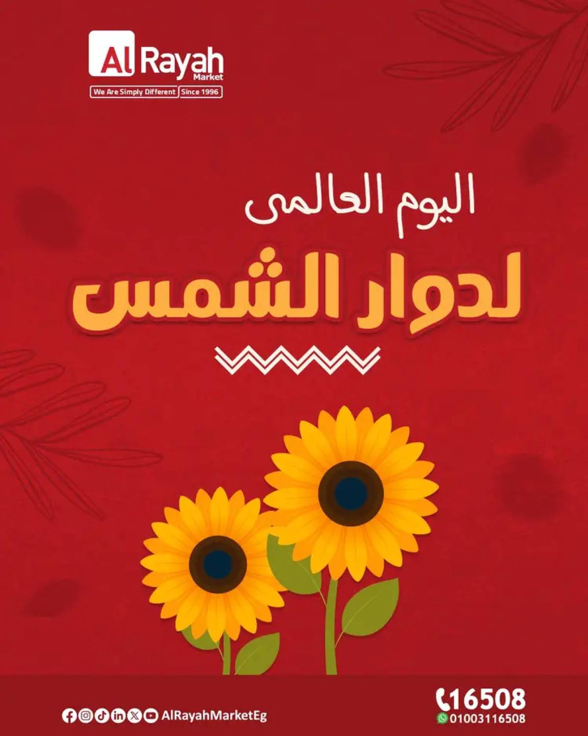 عروض الراية ماركت حتى 11 أغسطس 2025 اليوم العالمى لدوار الشمس
