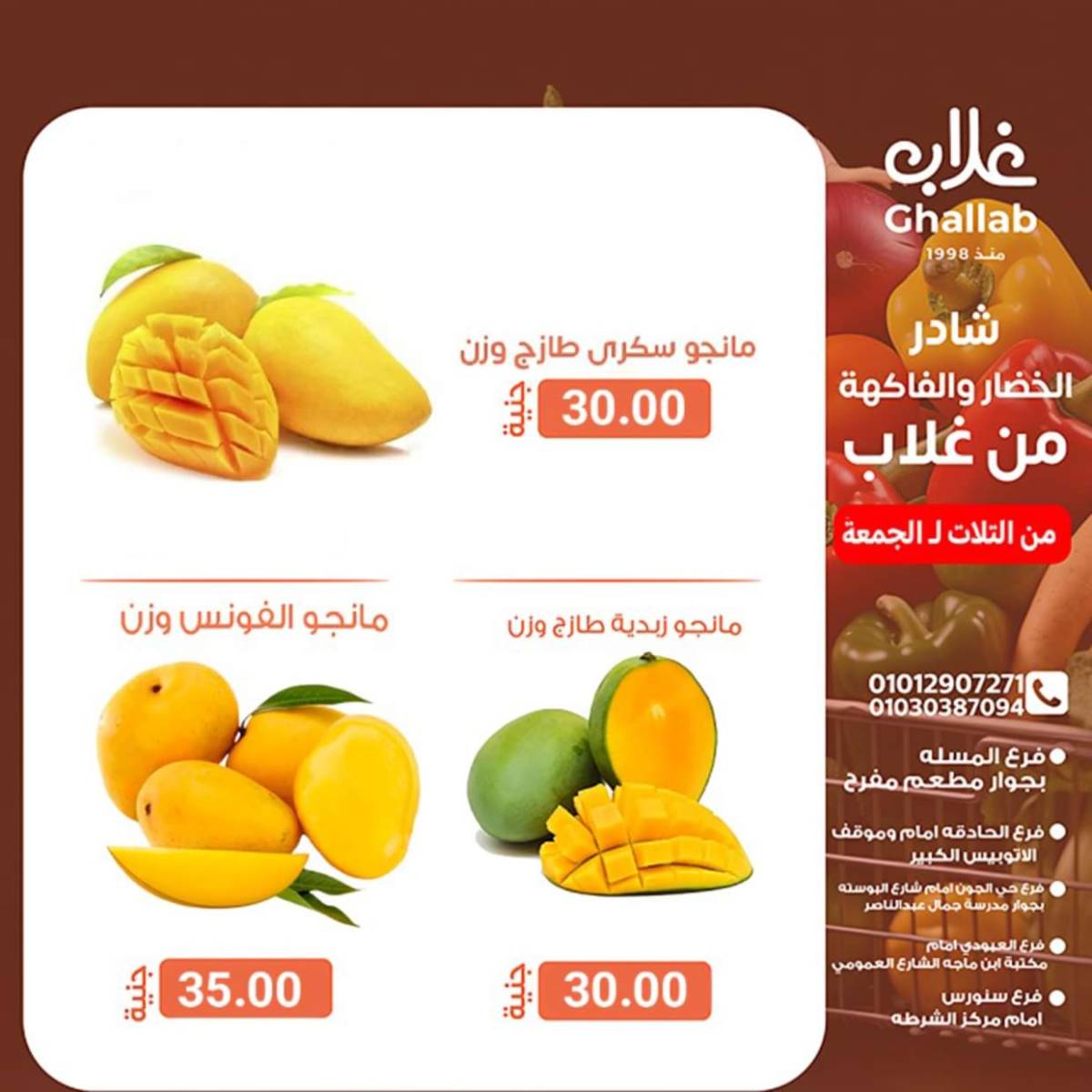 عروض أسواق غلاب الفيوم حتى 8 أغسطس 2025 عروض الفريش