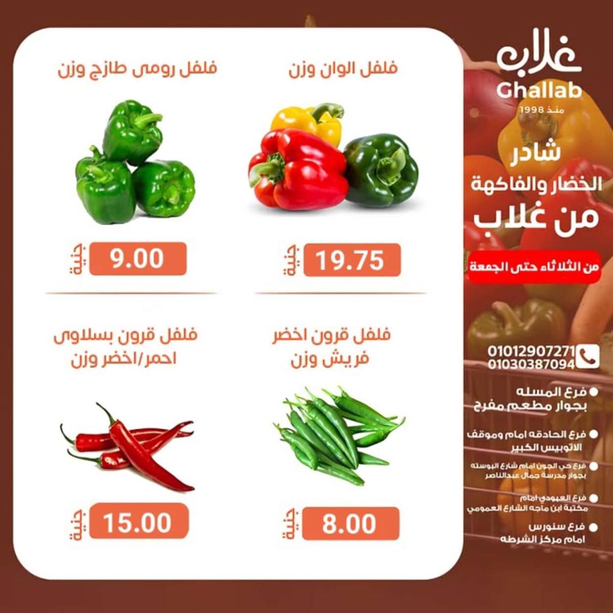 عروض أسواق غلاب الفيوم حتى 8 أغسطس 2025 عروض الفريش