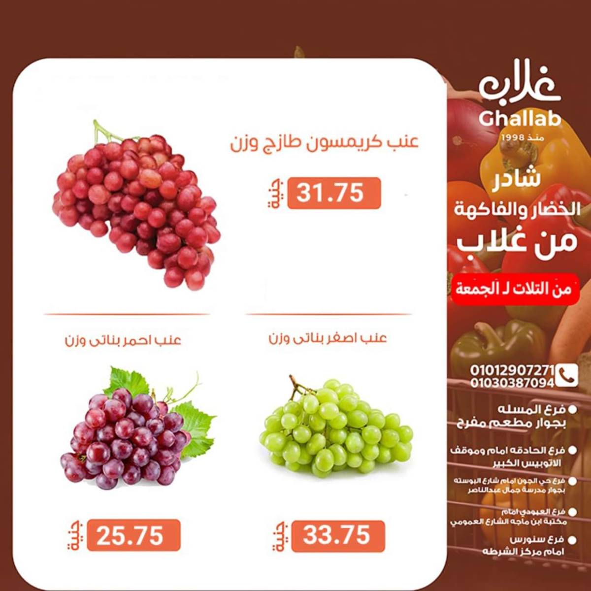 عروض أسواق غلاب الفيوم حتى 8 أغسطس 2025 عروض الفريش