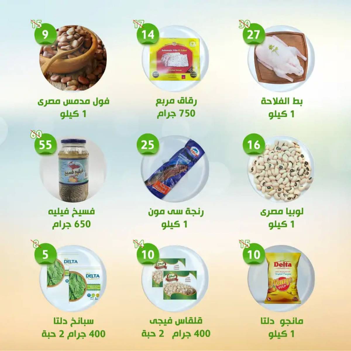 عروض النهضة المصرية أبوظبى حتى 14 أغسطس 2025 العروض الأسبوعية