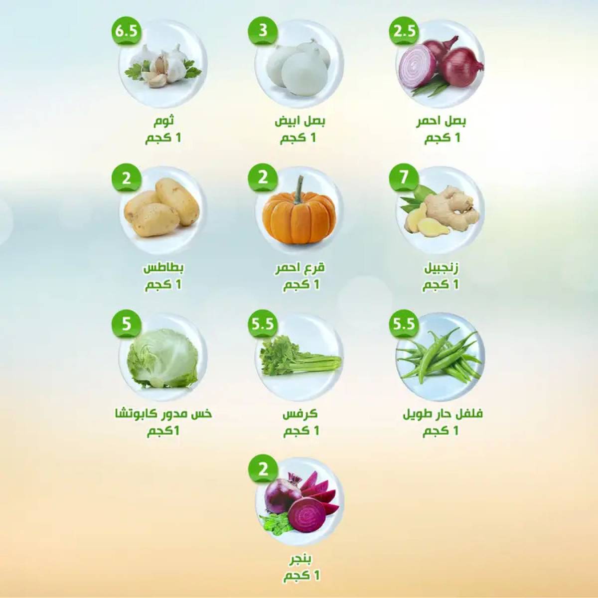 عروض النهضة المصرية أبوظبى حتى 14 أغسطس 2025 العروض الأسبوعية