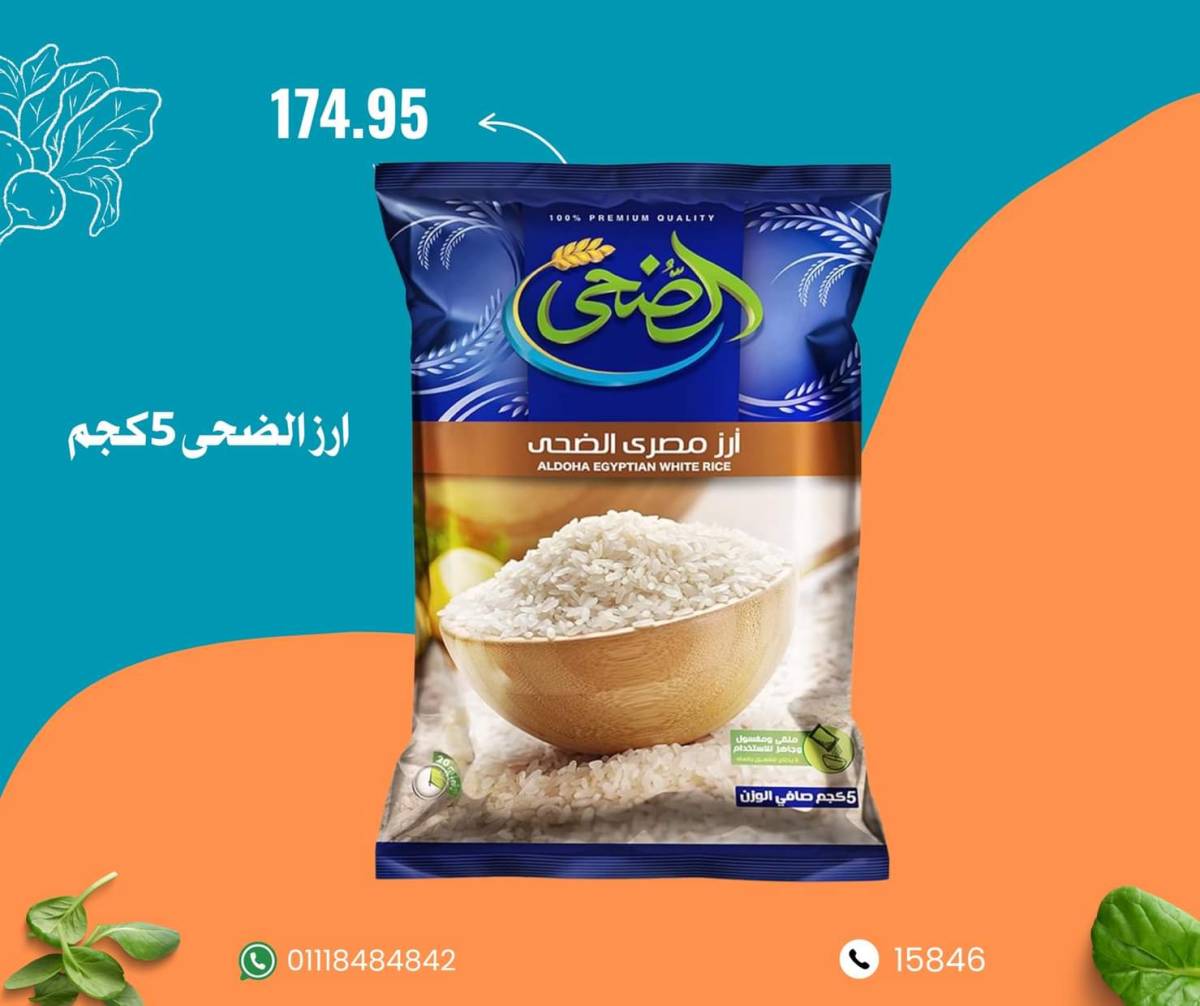 عروض نجمة هليوبوليس جمال سلامة من 9 أغسطس 2025 عروض الأسبوع