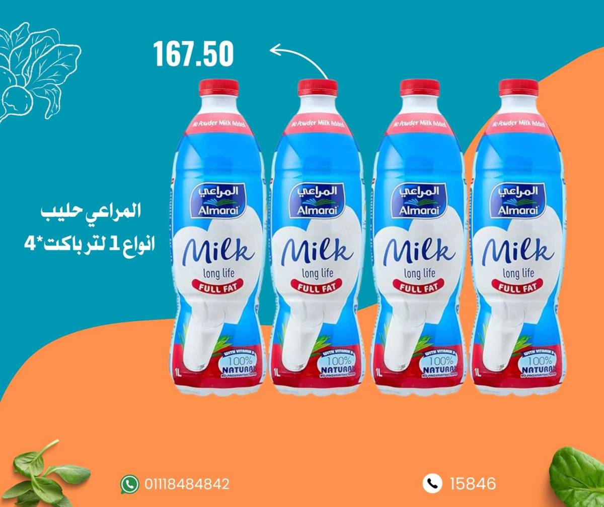 عروض نجمة هليوبوليس جمال سلامة من 9 أغسطس 2025 عروض الأسبوع