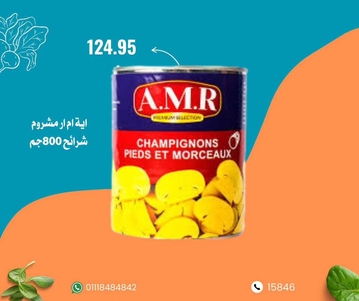 عروض نجمة هليوبوليس جمال سلامة من 9 أغسطس 2025 عروض الأسبوع