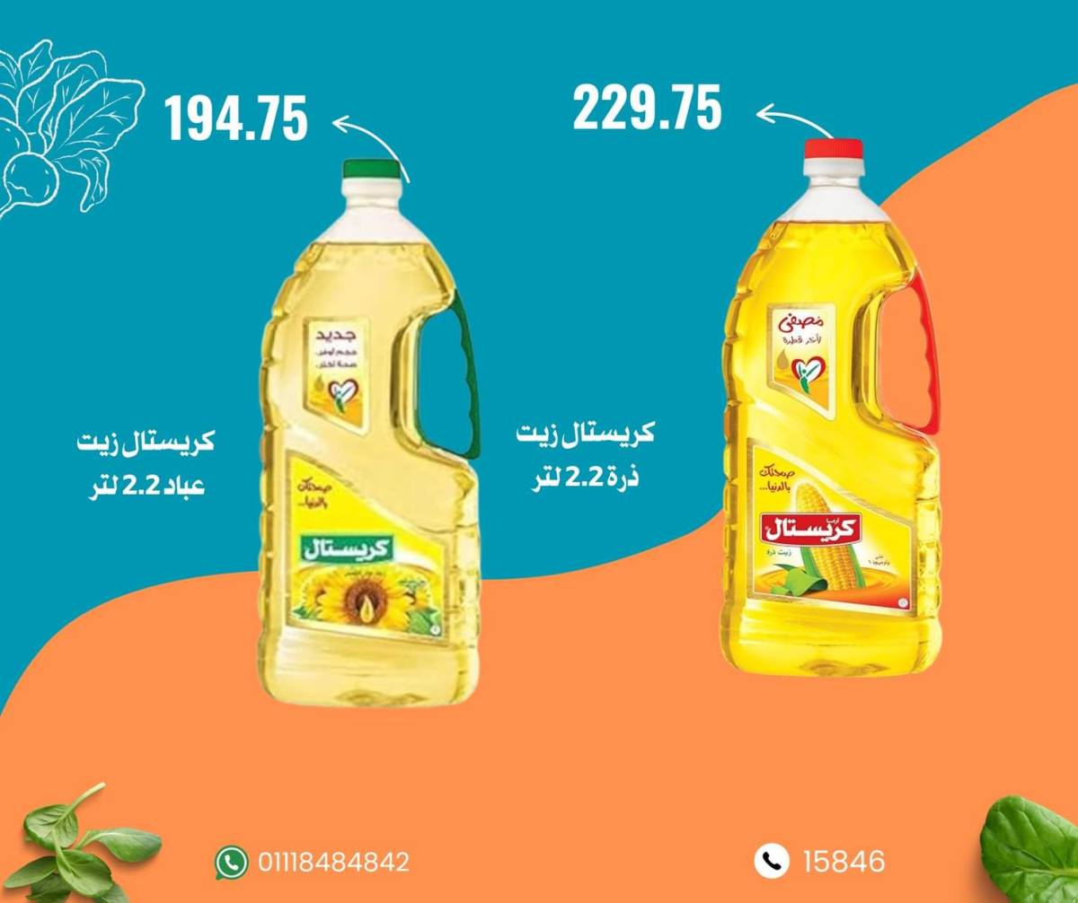 عروض نجمة هليوبوليس جمال سلامة من 9 أغسطس 2025 عروض الأسبوع