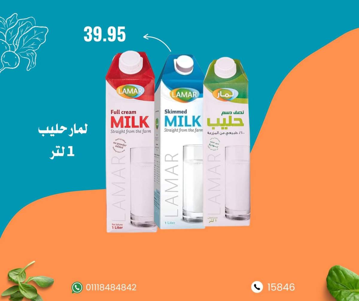 عروض نجمة هليوبوليس جمال سلامة من 9 أغسطس 2025 عروض الأسبوع