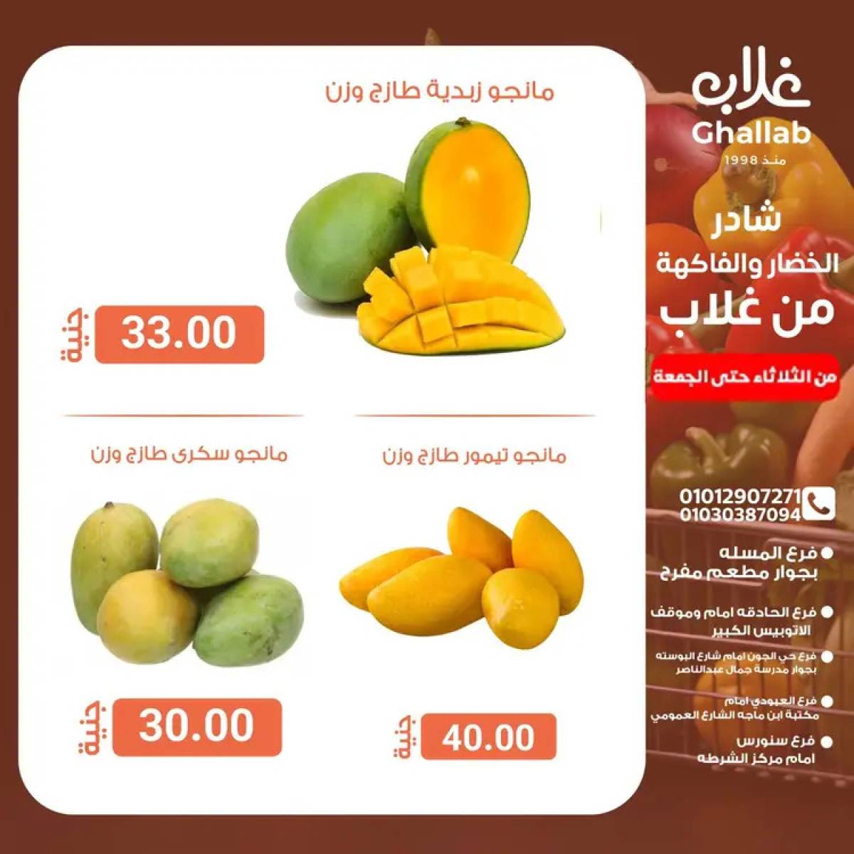 عروض أسواق غلاب الفيوم حتى 15 أغسطس 2025 عروض الفريش