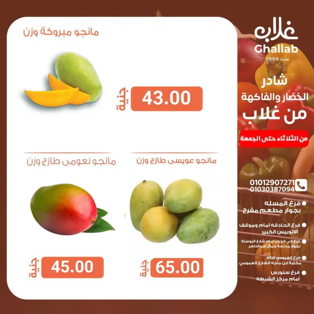 عروض أسواق غلاب الفيوم حتى 15 أغسطس 2025 عروض الفريش