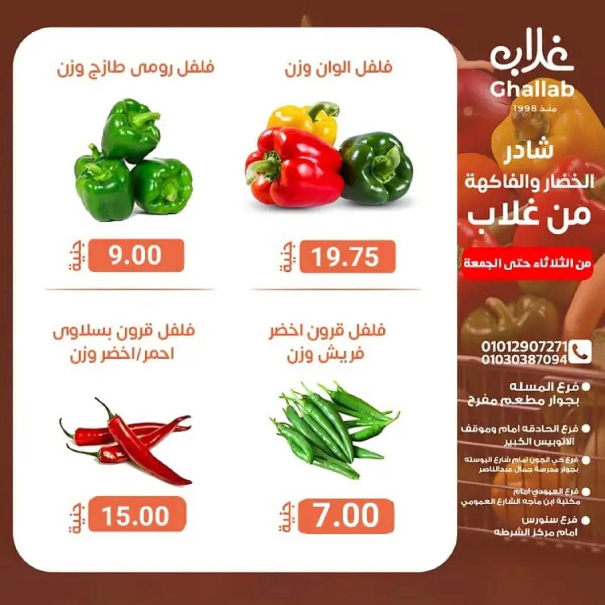 عروض أسواق غلاب الفيوم حتى 15 أغسطس 2025 عروض الفريش