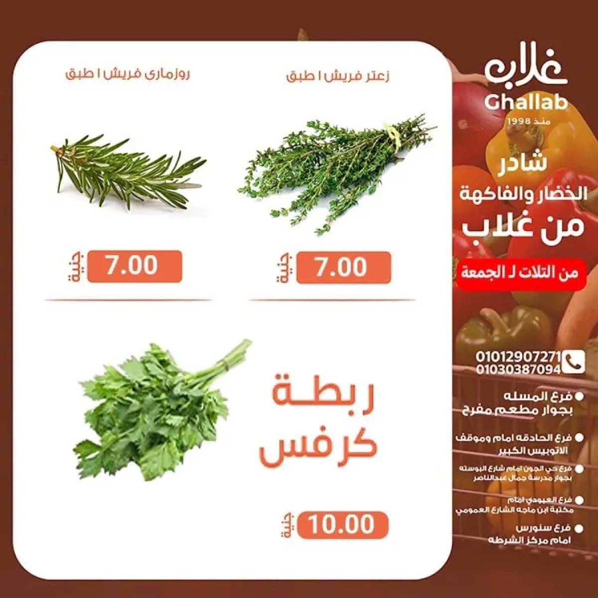 عروض أسواق غلاب الفيوم حتى 15 أغسطس 2025 عروض الفريش