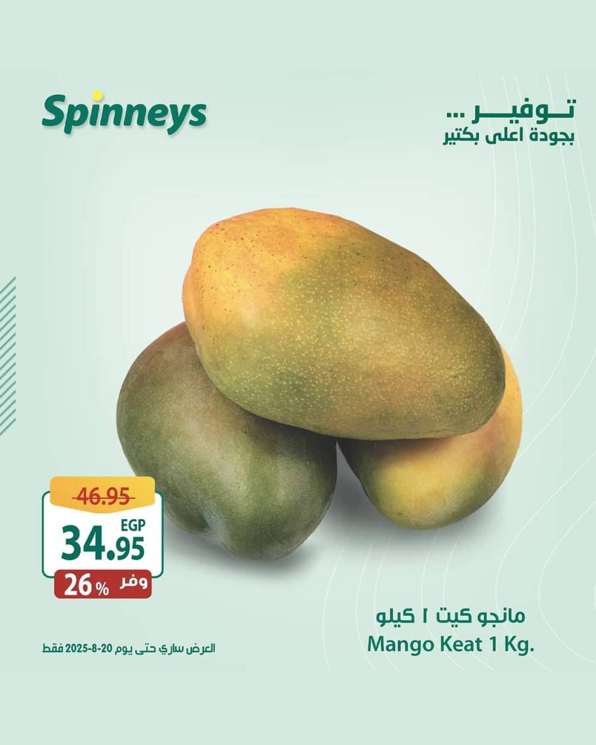 عروض سبينيس من 13 حتى 20 أغسطس 2025 مهرجان المانجو