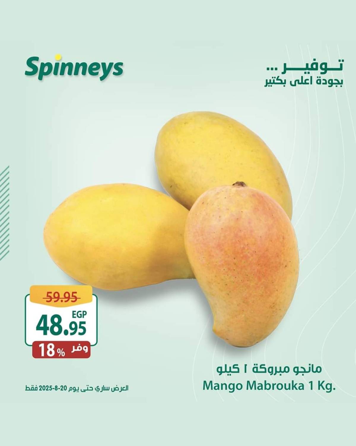 عروض سبينيس من 13 حتى 20 أغسطس 2025 مهرجان المانجو