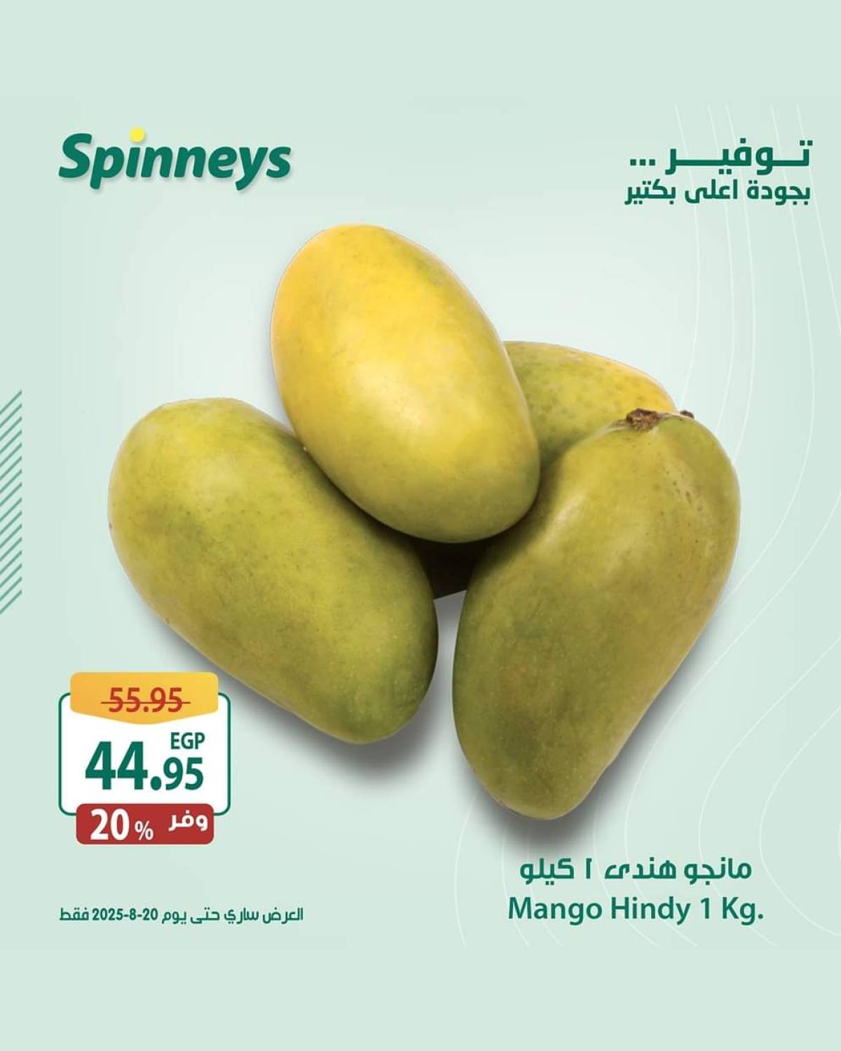 عروض سبينيس من 13 حتى 20 أغسطس 2025 مهرجان المانجو