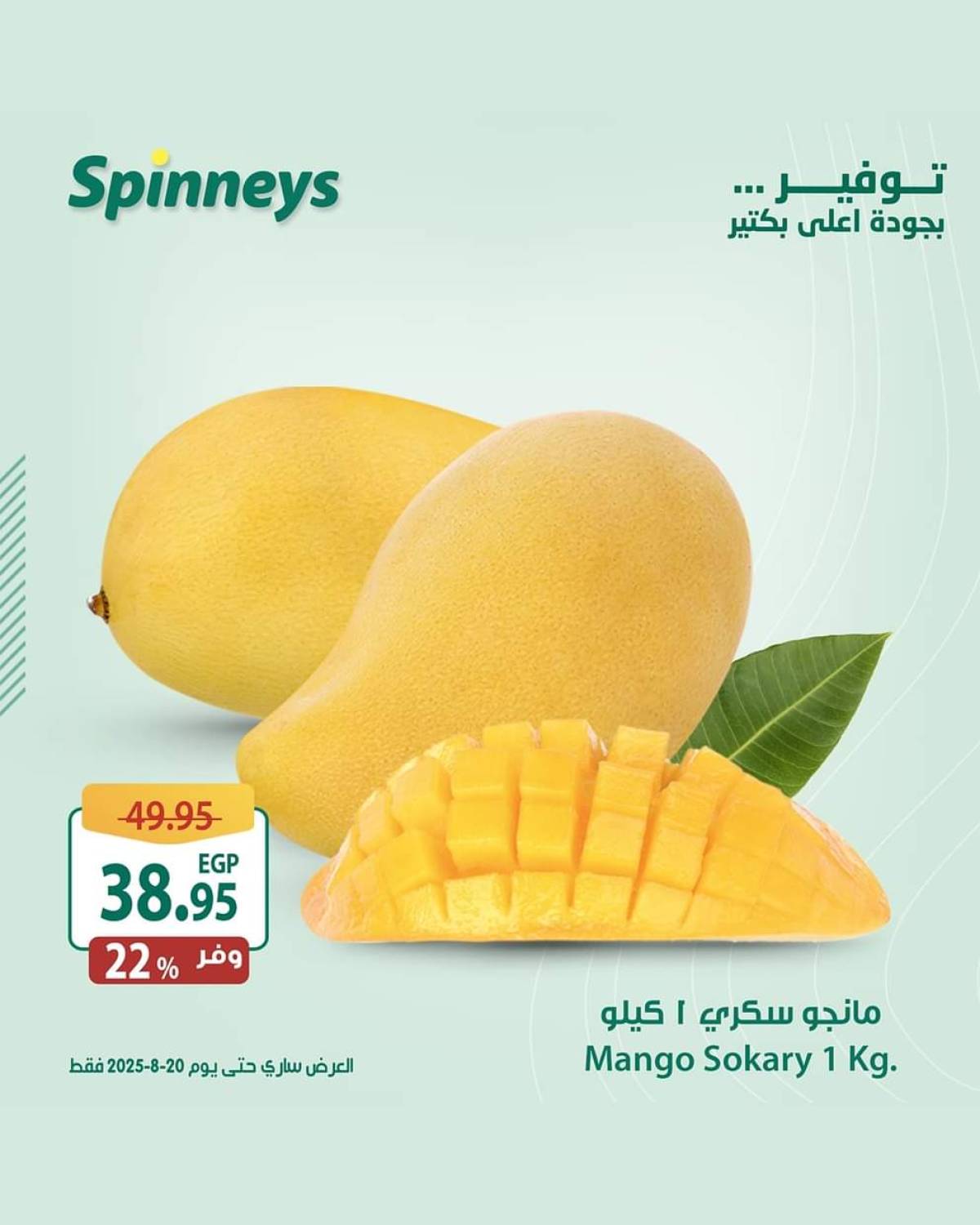 عروض سبينيس من 13 حتى 20 أغسطس 2025 مهرجان المانجو