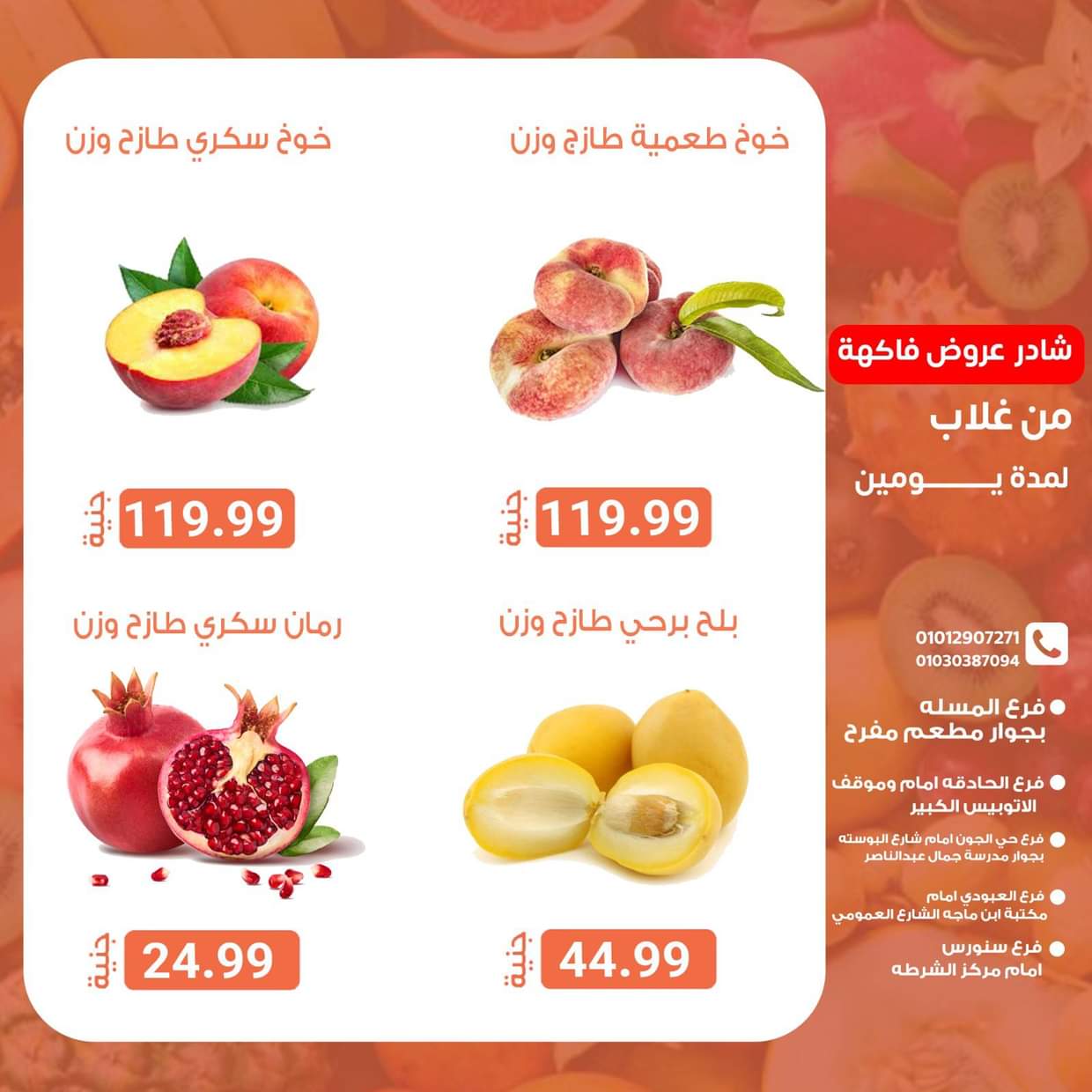 عروض أسواق غلاب الفيوم  من 17 حتى 18 أغسطس 2025 شادر السمك