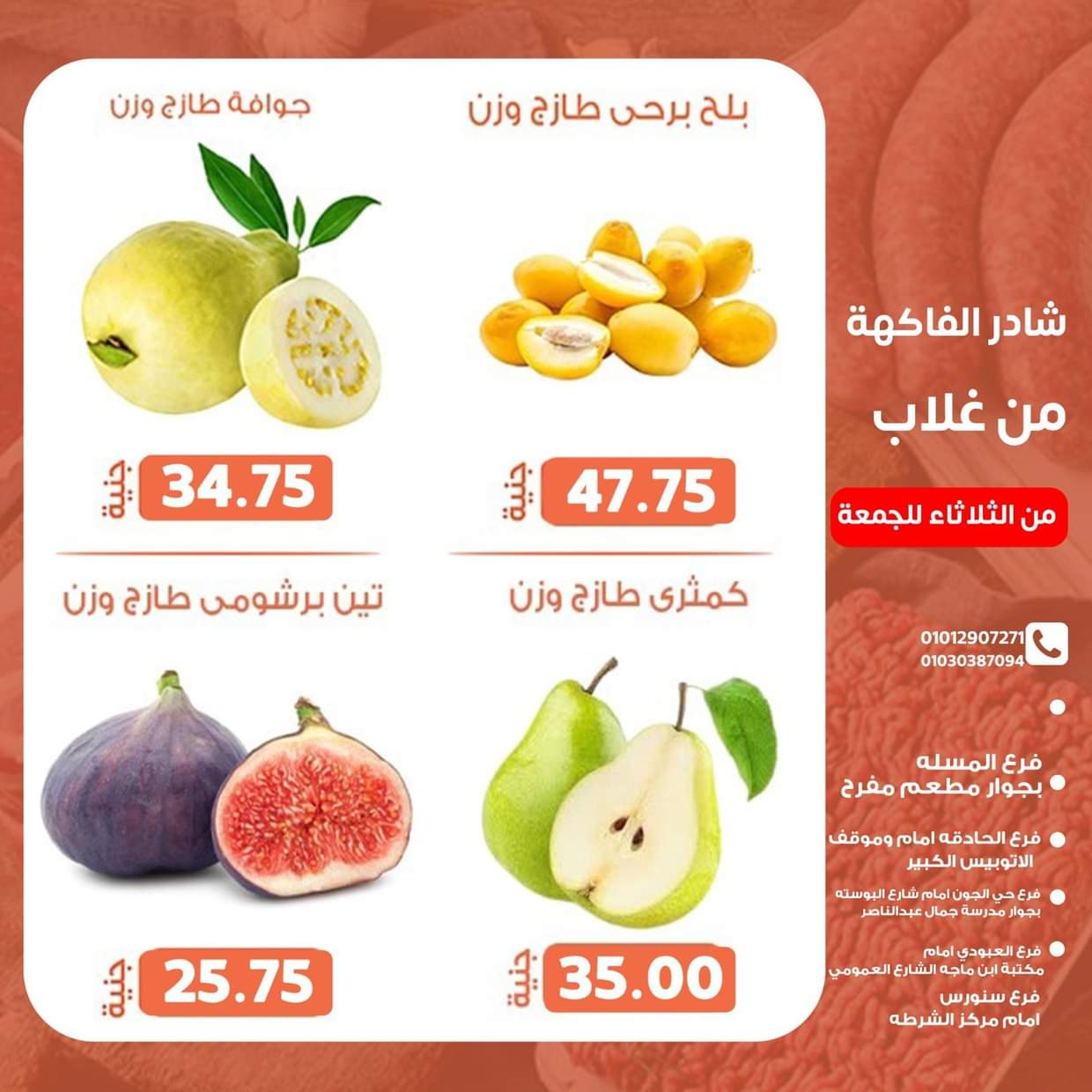 عروض أسواق غلاب الفيوم حتى 22 أغسطس 2025 عروض الفريش