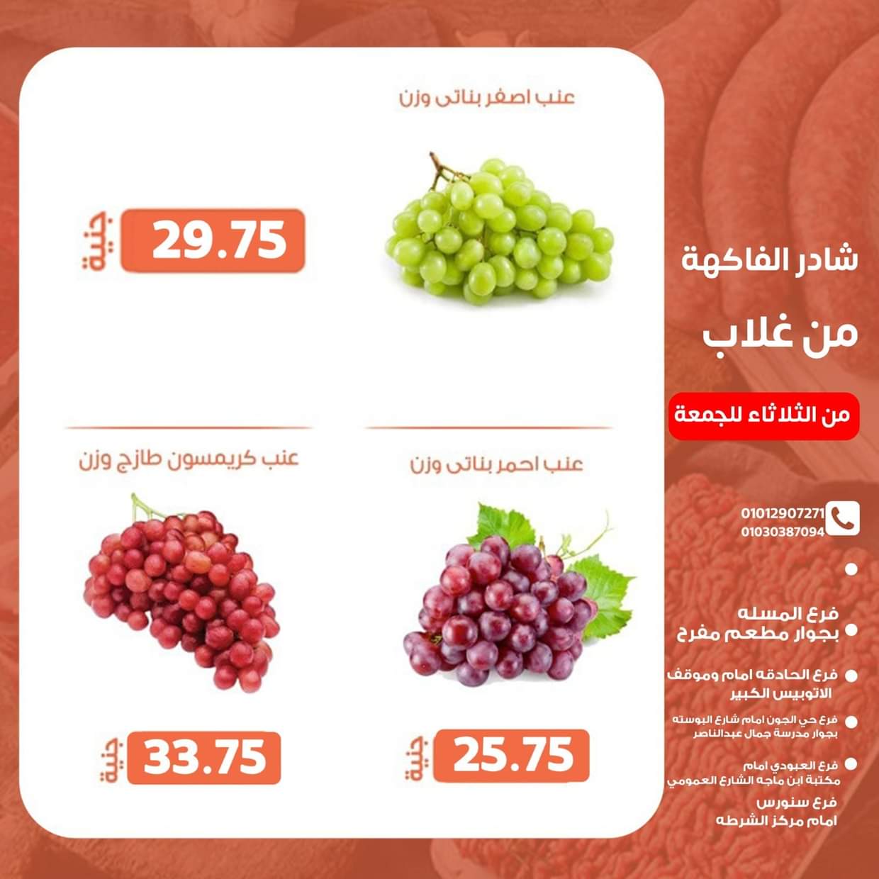 عروض أسواق غلاب الفيوم حتى 22 أغسطس 2025 عروض الفريش