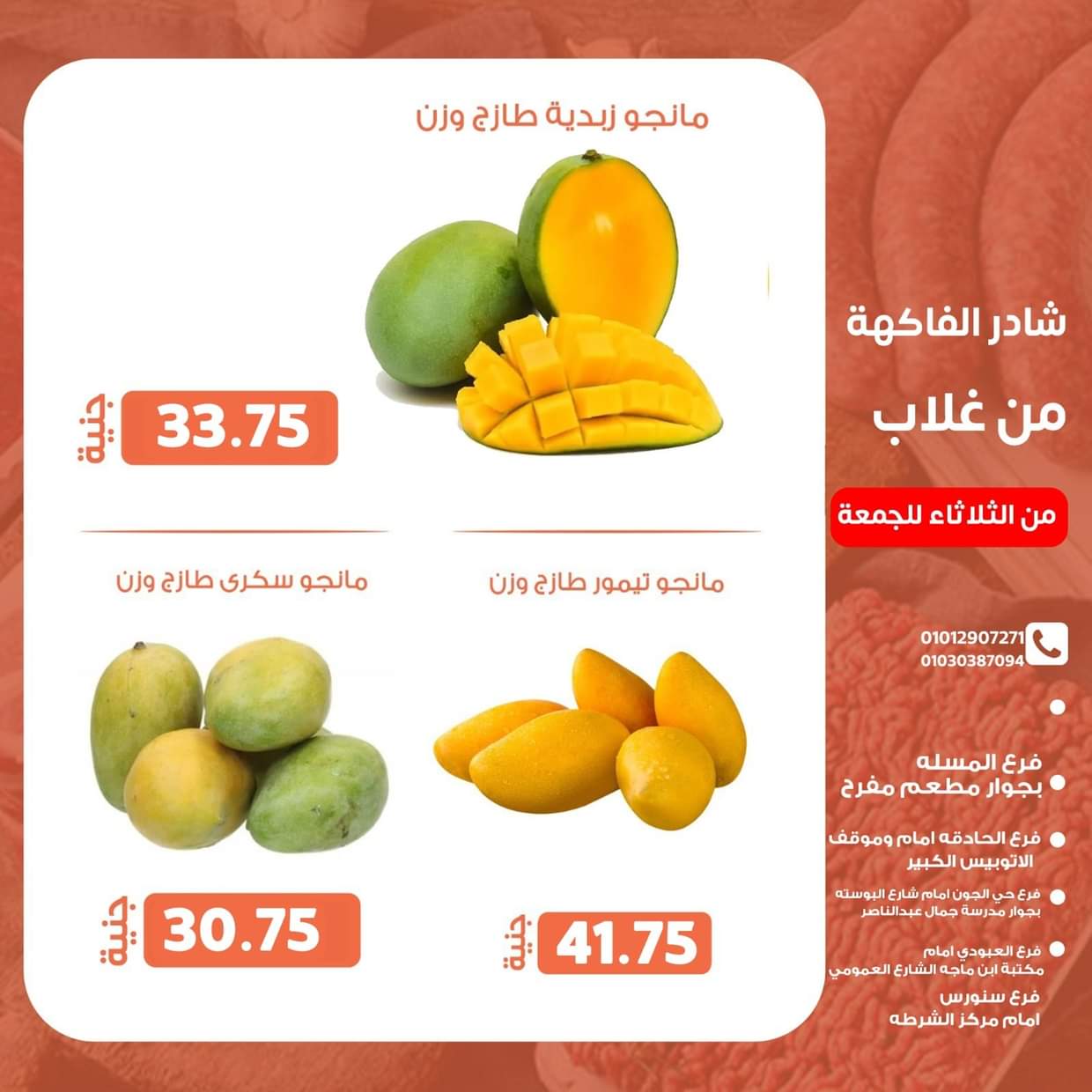 عروض أسواق غلاب الفيوم حتى 22 أغسطس 2025 عروض الفريش
