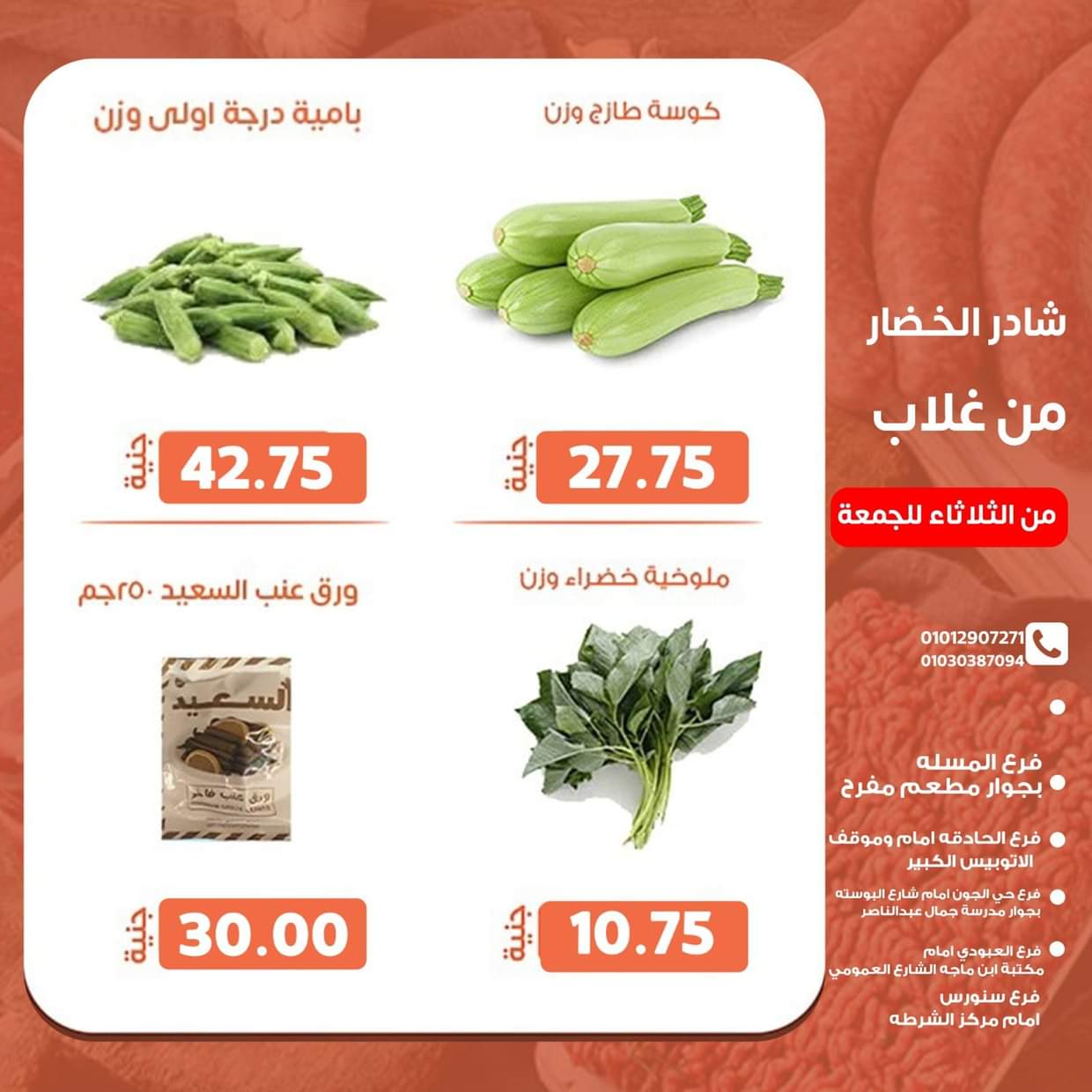 عروض أسواق غلاب الفيوم حتى 22 أغسطس 2025 عروض الفريش