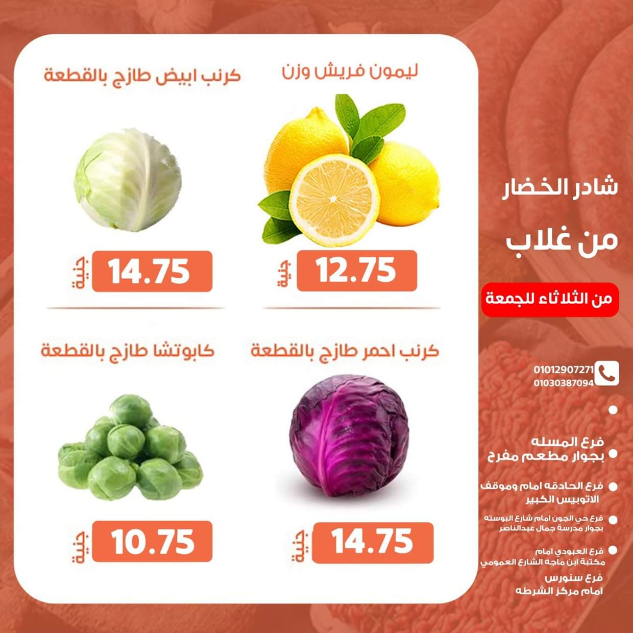 عروض أسواق غلاب الفيوم حتى 22 أغسطس 2025 عروض الفريش