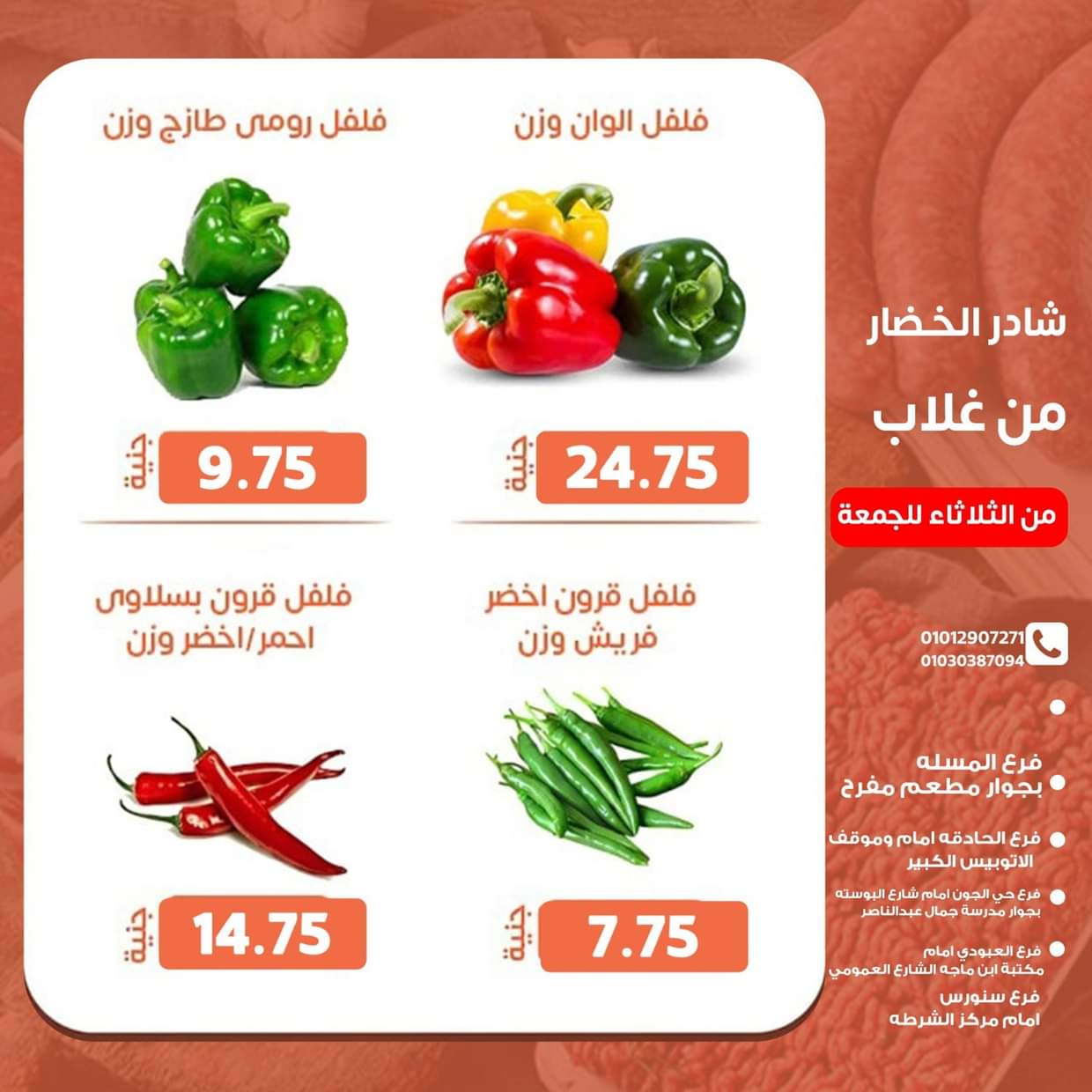 عروض أسواق غلاب الفيوم حتى 22 أغسطس 2025 عروض الفريش