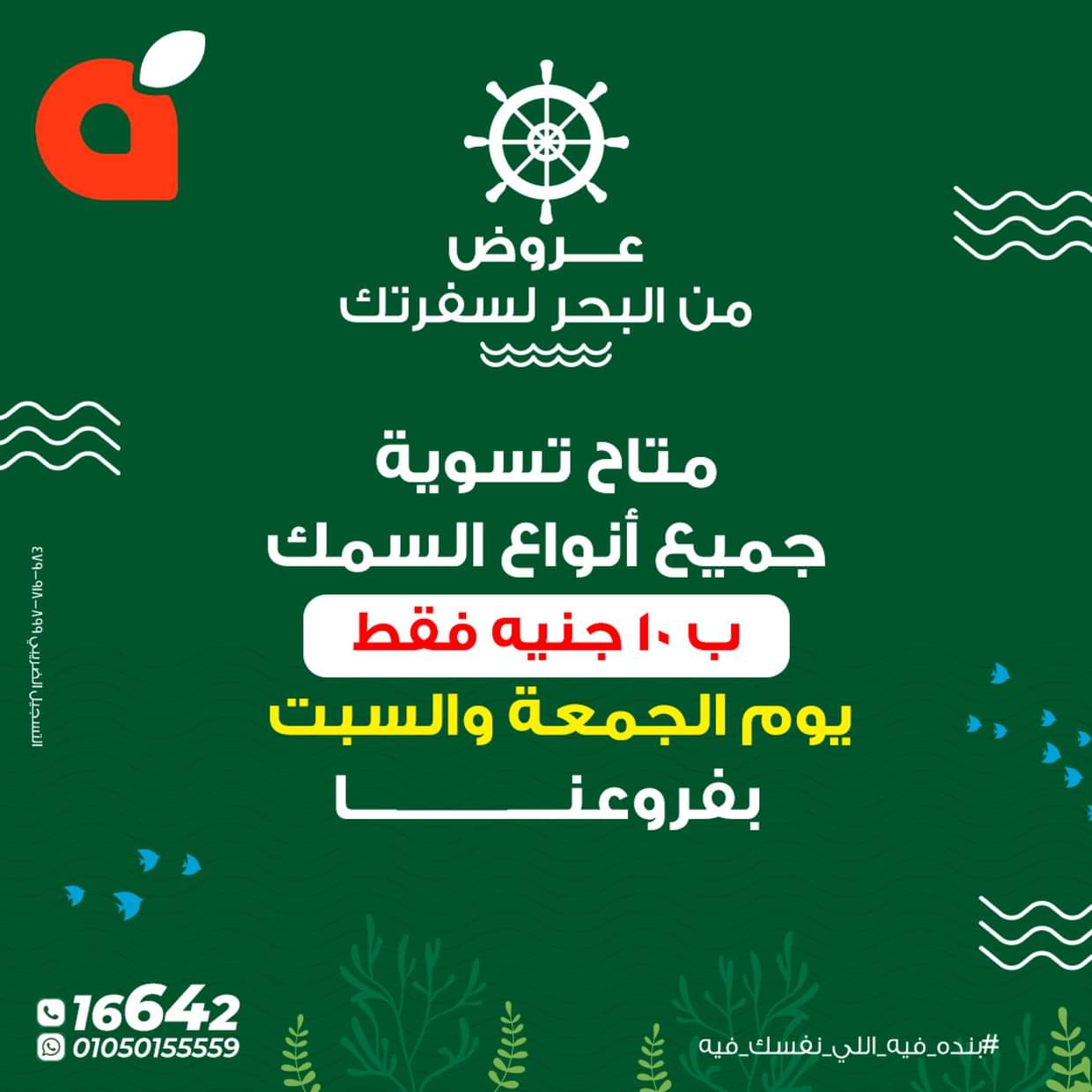 عروض بنده مصر من 21 حتى 31 أغسطس 2025 عروض الأسماك