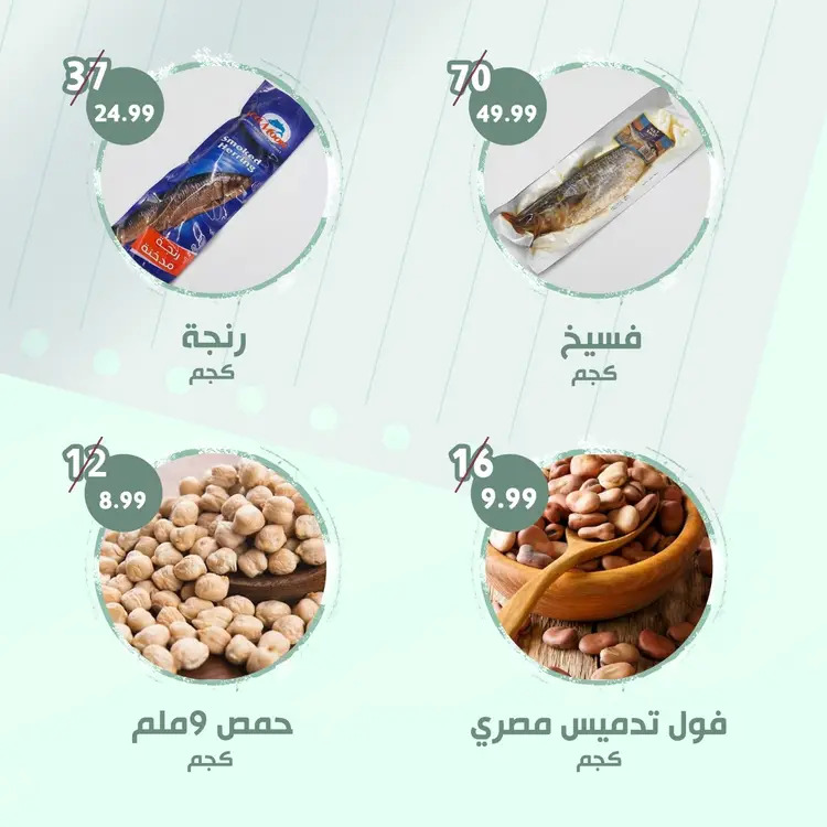 عروض النهضة المصرية العين من 22 أغسطس حتى 4 سبتمبر 2025 العرض الأسبوعى