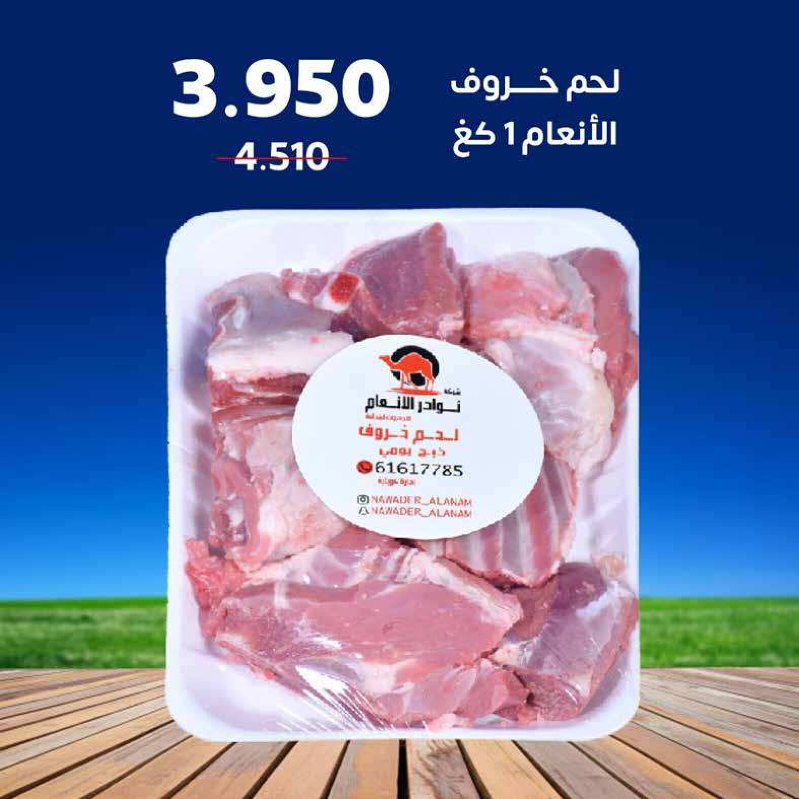 عروض جمعية إشبيلية الكويت من 24 حتى 31 أغسطس 2025 مهرجان أغسطس