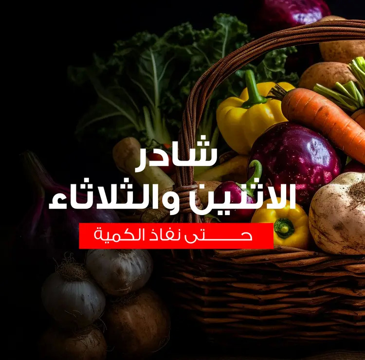 عروض أسواق غلاب الفيوم من 25 حتى 26 أغسطس 2025 عروض الفريش