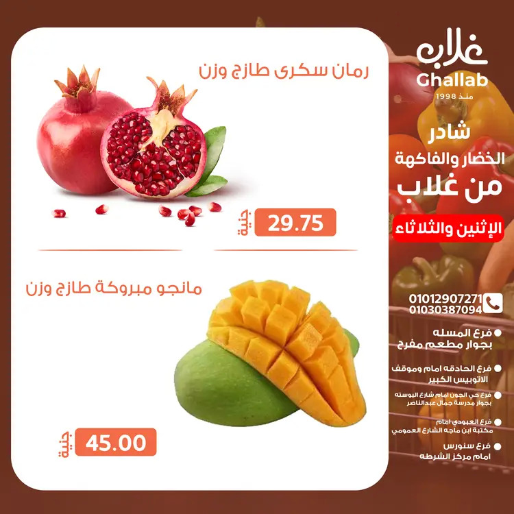 عروض أسواق غلاب الفيوم من 25 حتى 26 أغسطس 2025 عروض الفريش