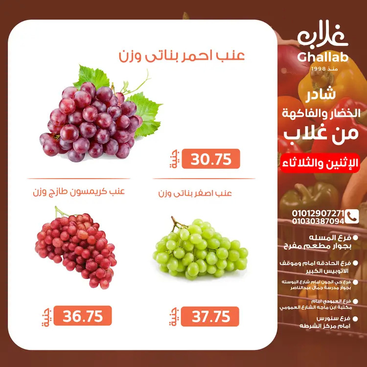 عروض أسواق غلاب الفيوم من 25 حتى 26 أغسطس 2025 عروض الفريش