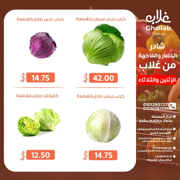 عروض أسواق غلاب الفيوم من 25 حتى 26 أغسطس 2025 عروض الفريش