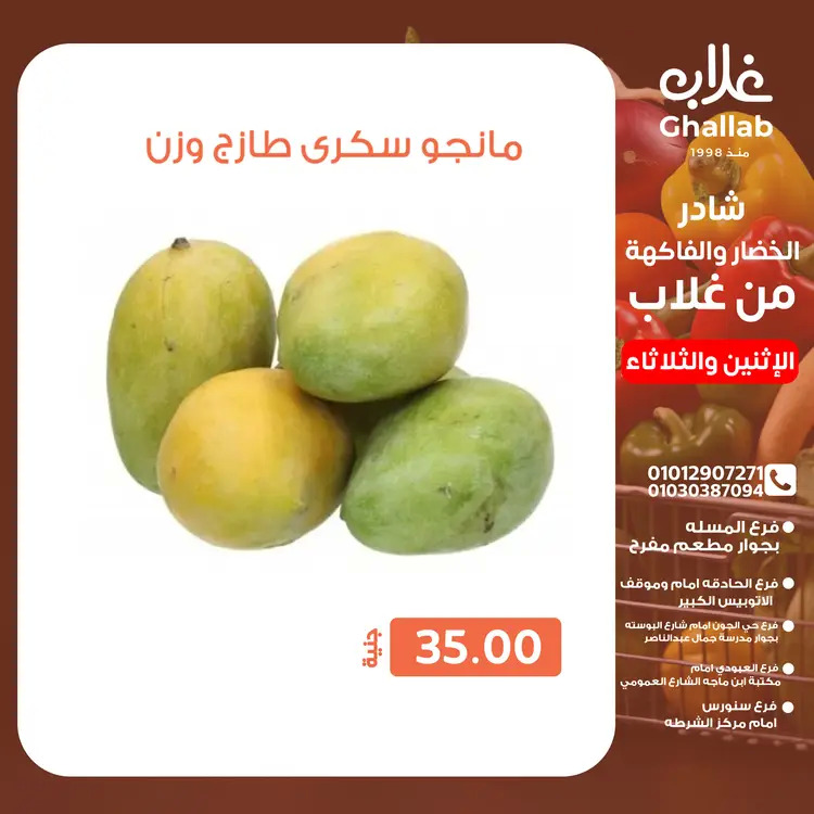 عروض أسواق غلاب الفيوم من 25 حتى 26 أغسطس 2025 عروض الفريش