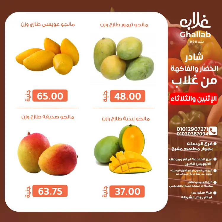 عروض أسواق غلاب الفيوم من 25 حتى 26 أغسطس 2025 عروض الفريش