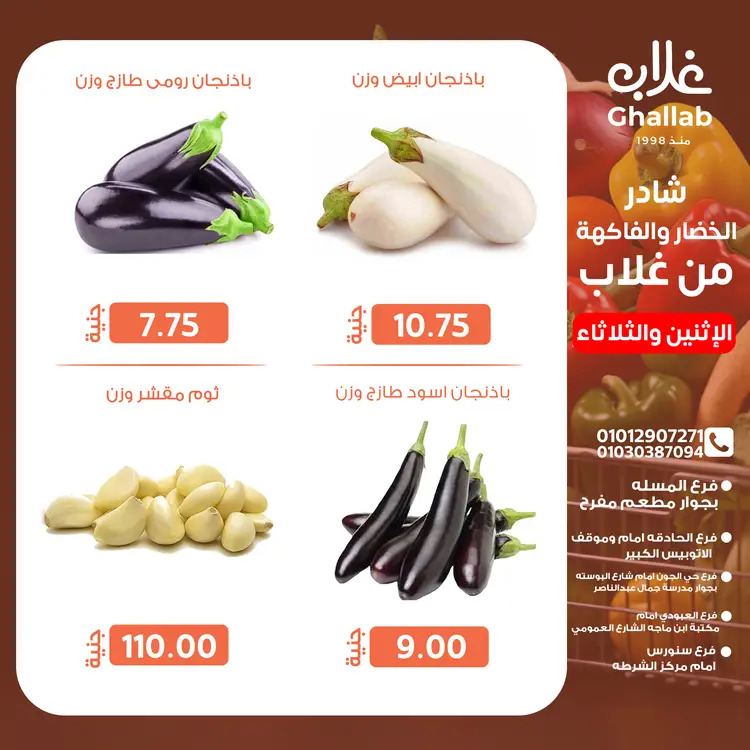 عروض أسواق غلاب الفيوم من 25 حتى 26 أغسطس 2025 عروض الفريش