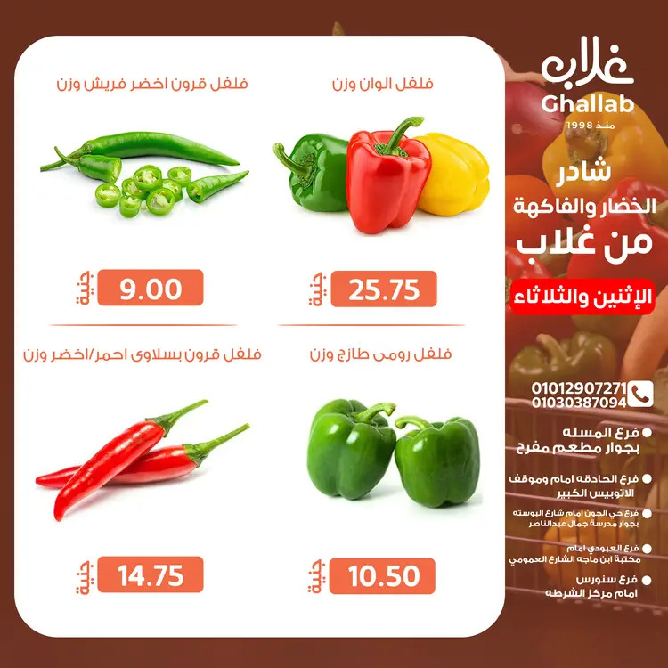 عروض أسواق غلاب الفيوم من 25 حتى 26 أغسطس 2025 عروض الفريش