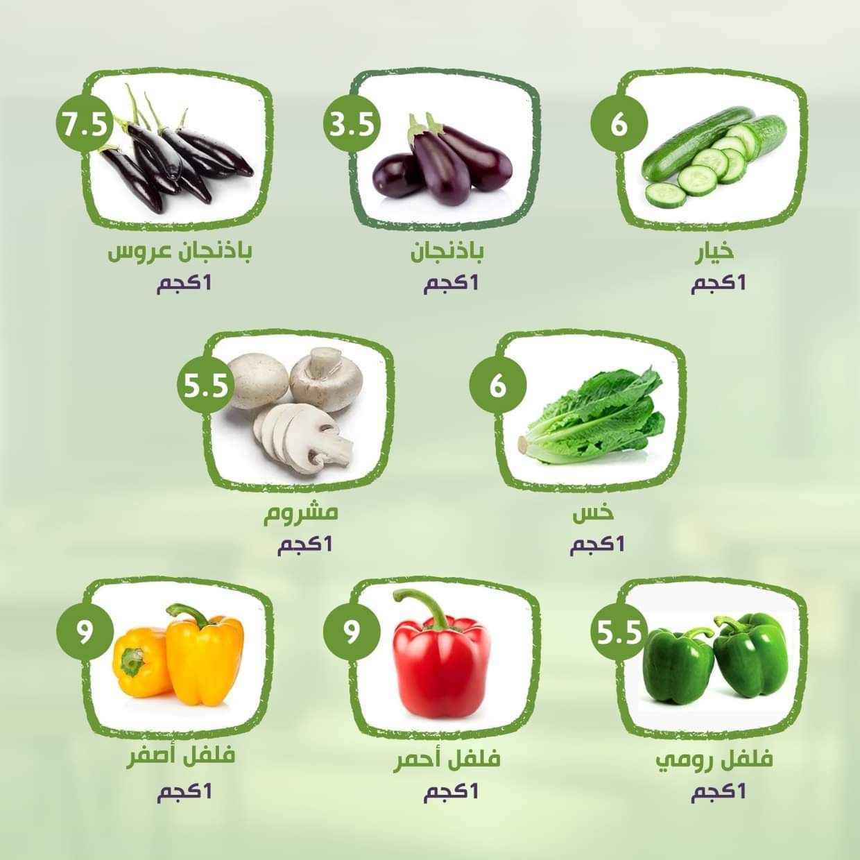 عروض النهضة المصرية أبوظبى من 29 أغسطس حتى 4 سبتمبر 2025 العودة للمدرسة