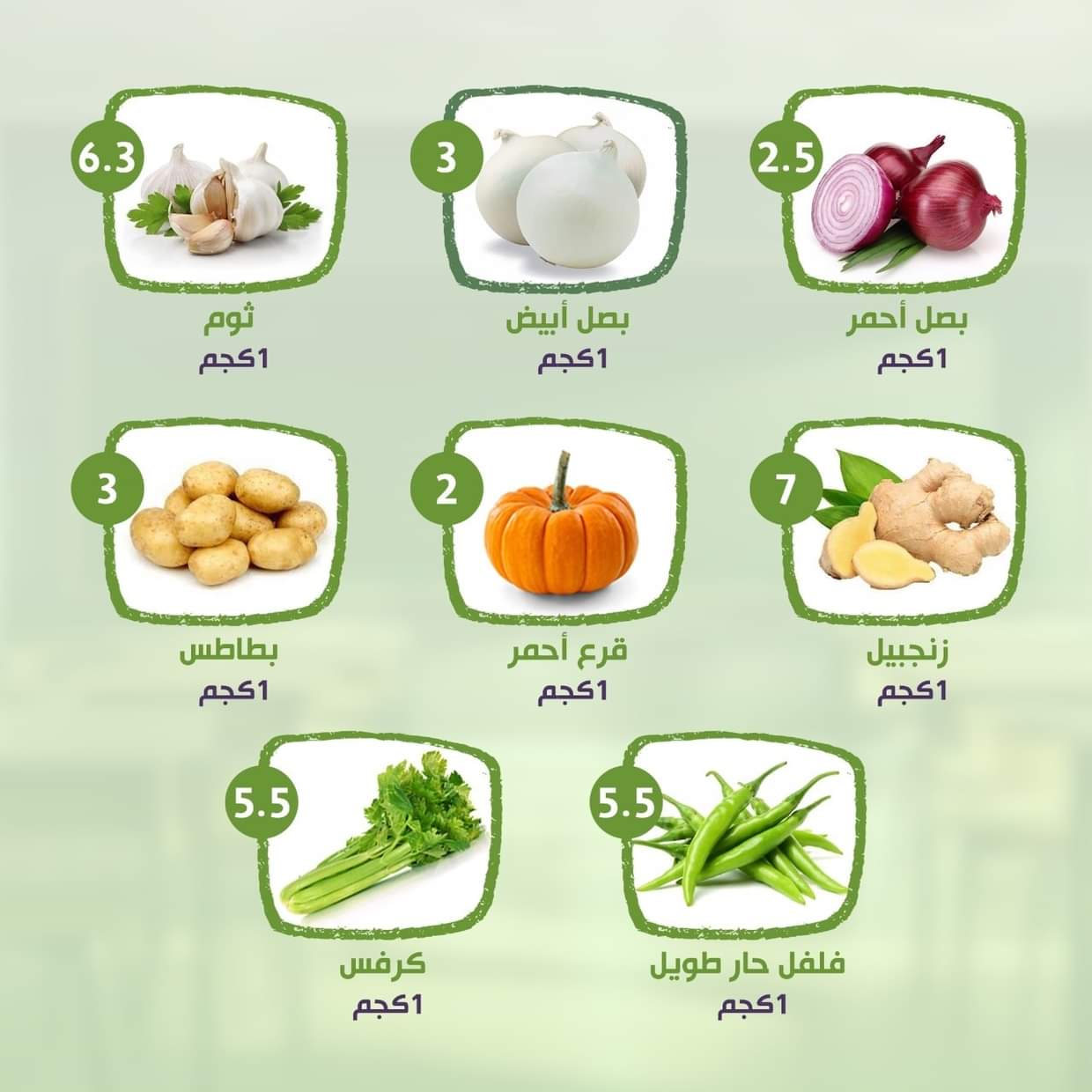 عروض النهضة المصرية أبوظبى من 29 أغسطس حتى 4 سبتمبر 2025 العودة للمدرسة