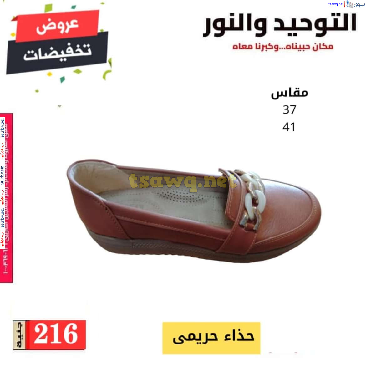عروض التوحيد والنور من 23 يوليو 2024 عروض الصيف