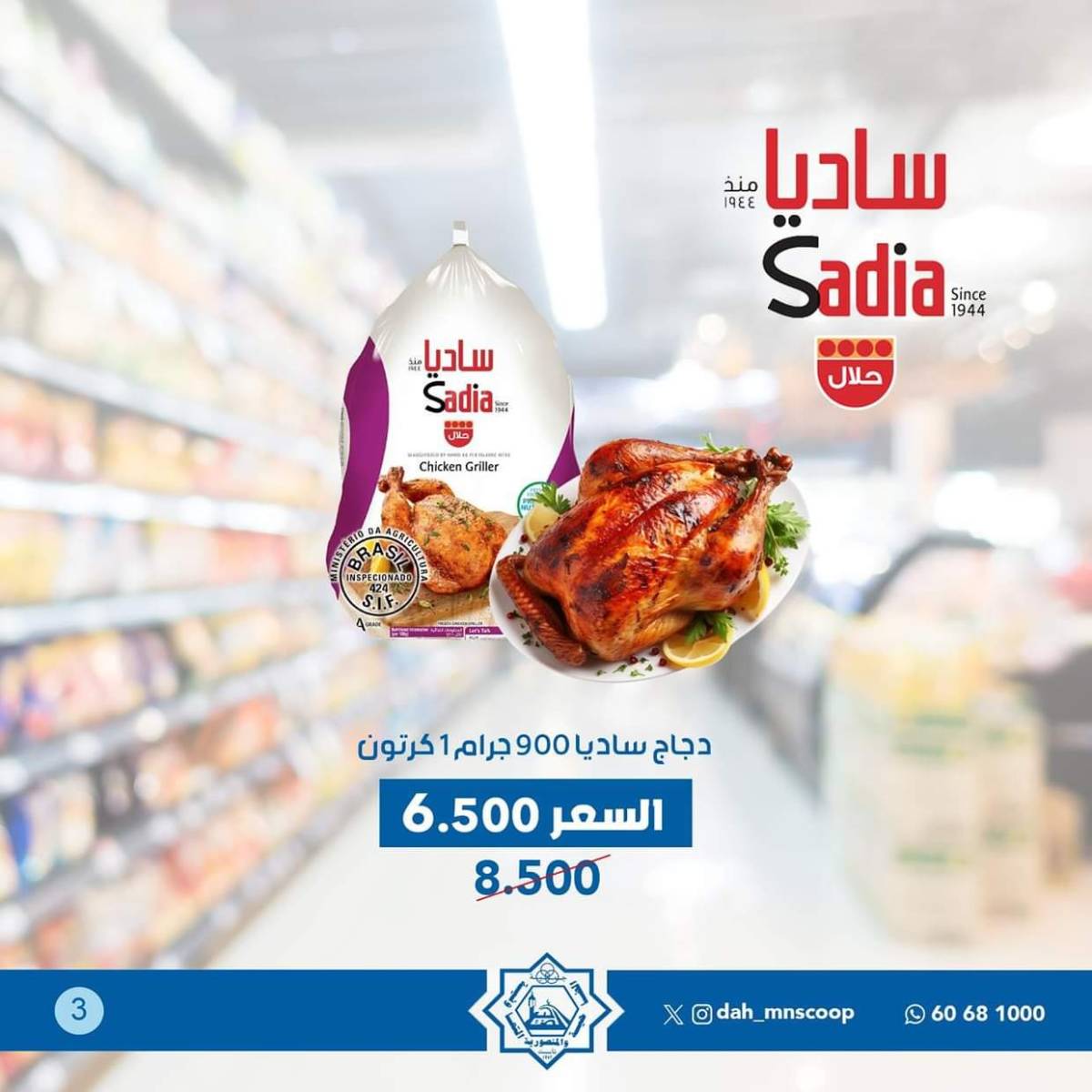 عروض جمعية الضاحية والمنصورية الخميس 17 يوليو 2025 عرض اليوم الواحد