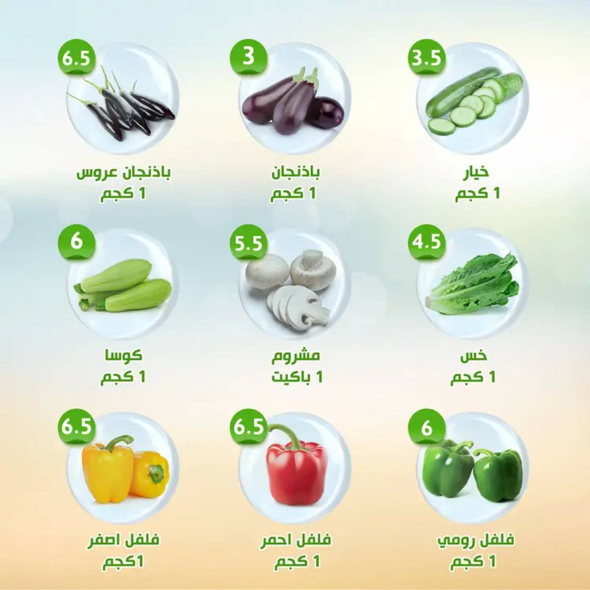 عروض النهضة المصرية أبوظبى من 18 حتى 24 يوليو 2025 العروض الأسبوعية