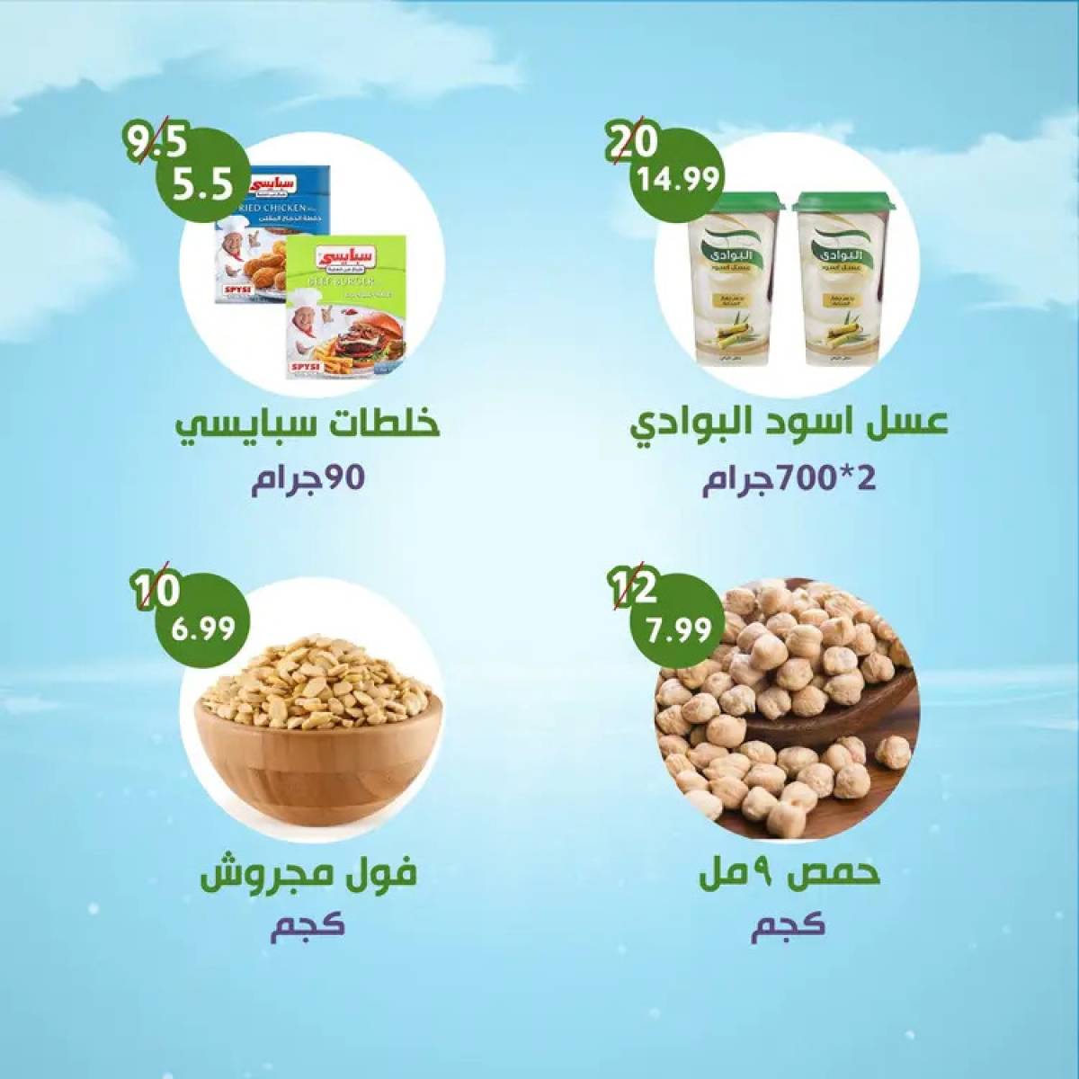 عروض النهضة المصرية العين  من 18 حتى 24 يوليو 2025 العرض الأسبوعى