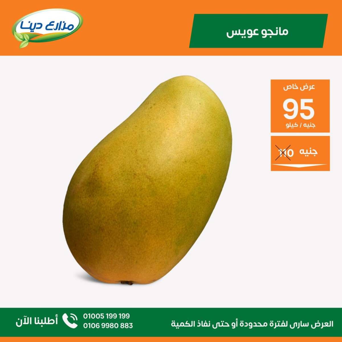 عروض منافذ مزارع دينا من 25 يوليو 2025 عروض الشهر