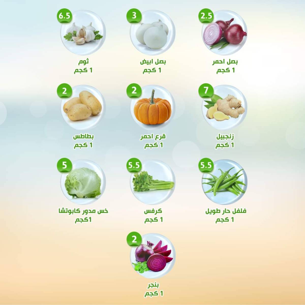 عروض النهضة المصرية أبوظبى من 25 حتى 31 يوليو 2025 العروض الأسبوعية